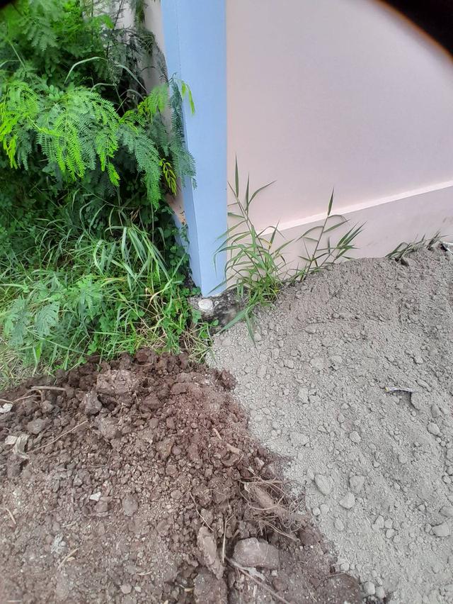 ที่ดินเปล่าถมแล้ว มบ.เมืองเอก บางปู 4