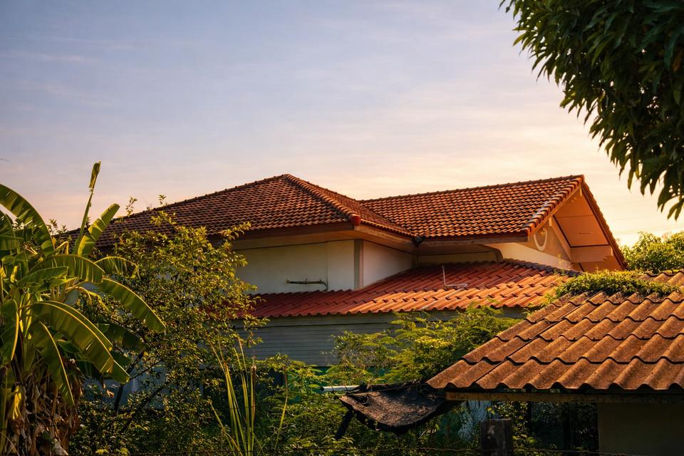 ขายบ้านสวนพร้อมที่ดิน 3