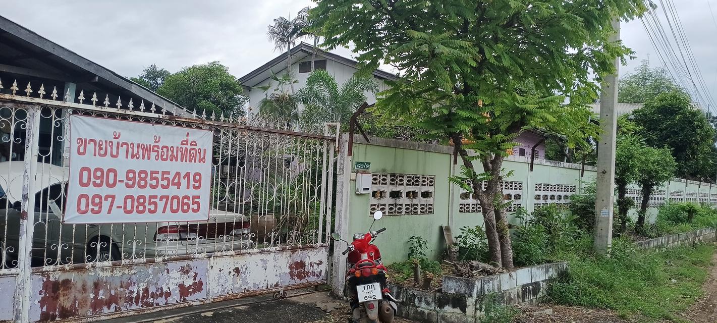 บ้านและที่ดิน 180ตรว. อยู่ใน อ.หนองม่วง จ.ลพบุรี 2