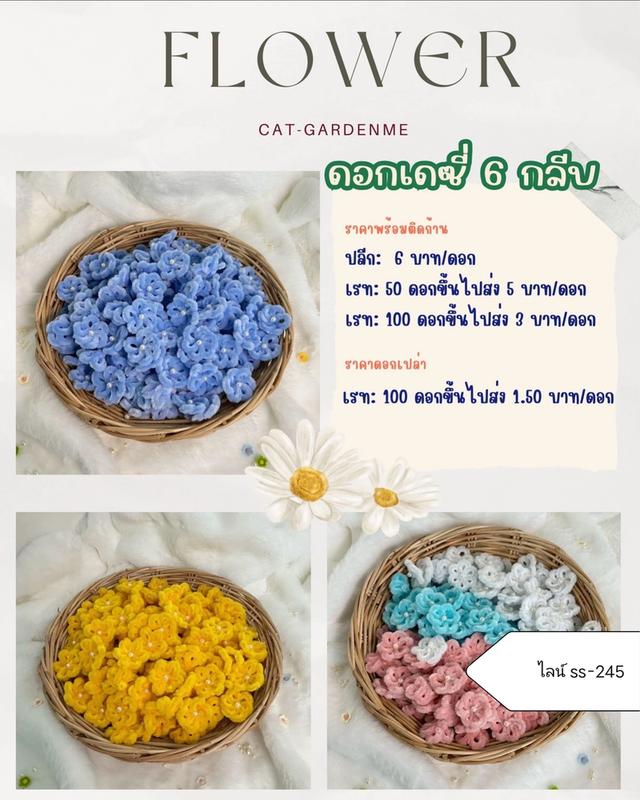 ดอกไม้กำมะหยี่ ปลีก-ส่ง