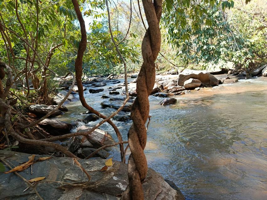 ขายที่ดินวิวธรรมชาติใกล้น้ำตกแม่ยะศักยภาพสูง ใกล้น้ำตกแม่ยะ อ.จอมทอง จ.เชียงใหม่ 9