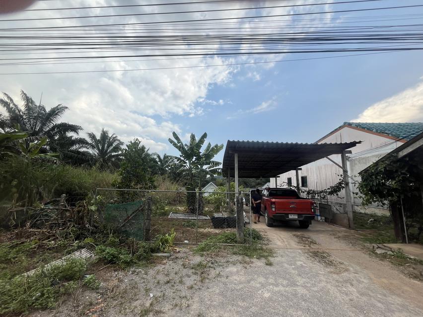 ขายที่ดิน 4 ห้อง land 9