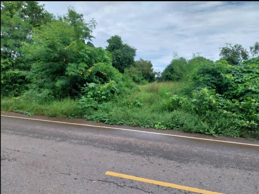 ที่ดินเปล่าเหมาะทำธุรกืจ รูปที่ 6