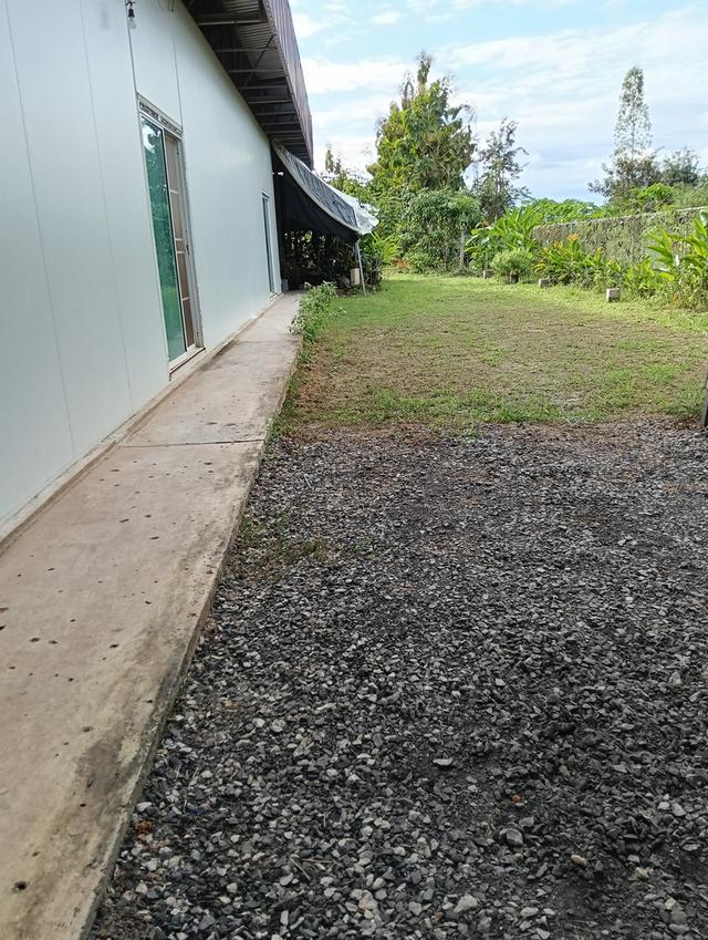 ที่ดินพร้อมโรงงาน+ห้องเย็น+โรงปลูกผักออแกนิค 8