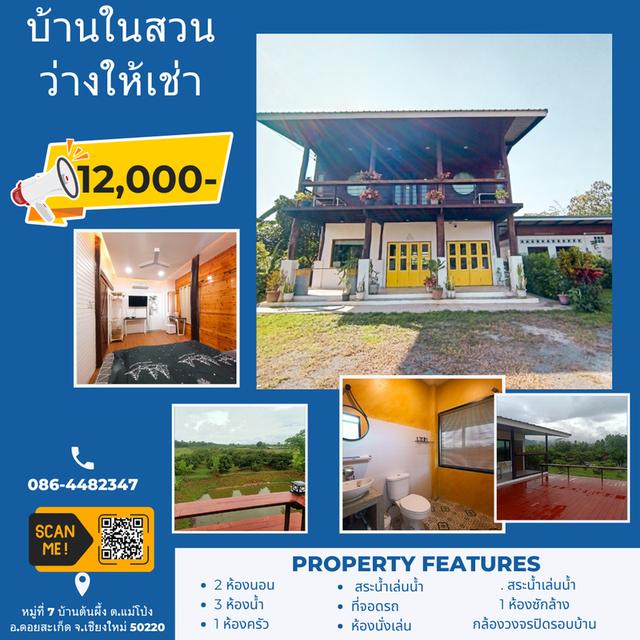 บ้านในสวนว่างให้เช่า 1