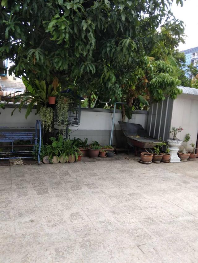 Sale single house with pool bigger area 560 sqm. at Suan Luang Pattanakarn road, Bangkok 9