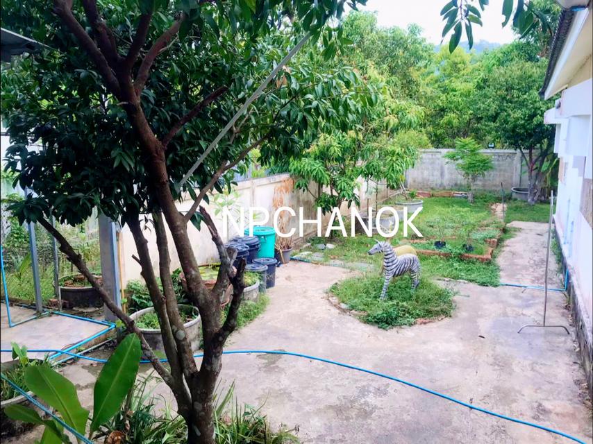 ขายบ้านเดี่ยว นครนายก วิวเขา สงบ 19