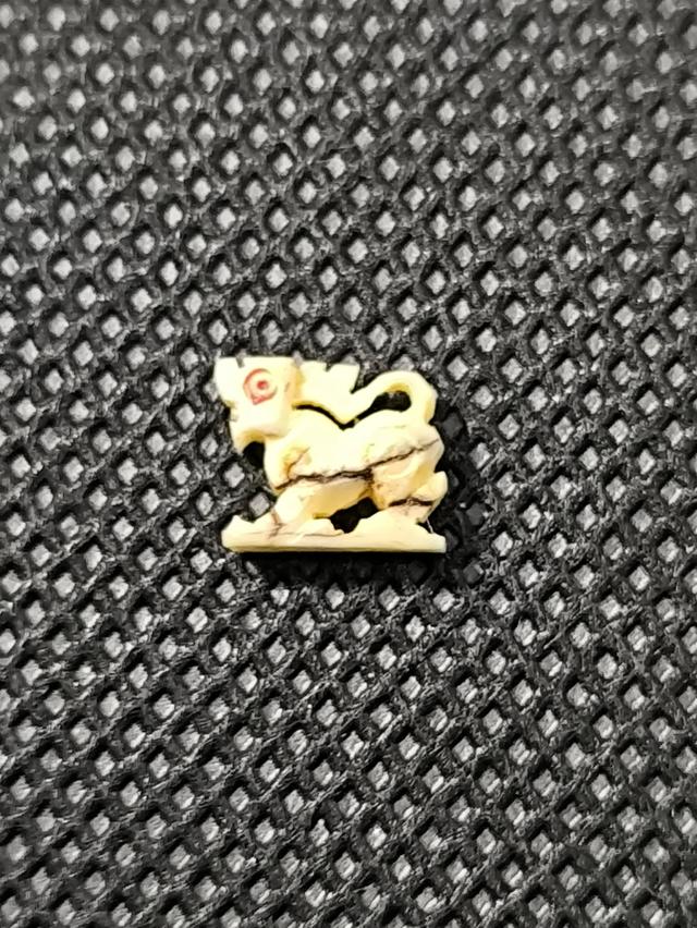 สิงห์สาริกาจิ๋ว ง.แกะ หลวงพ่อหอม วัดชากหมาก