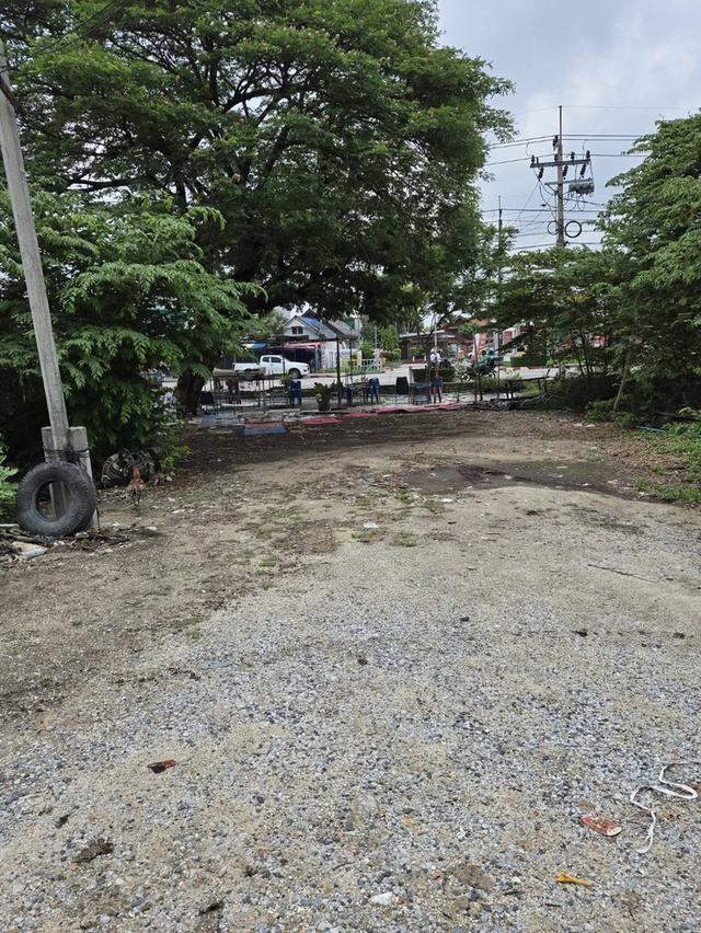 ที่ดินว่างเปล่า 6