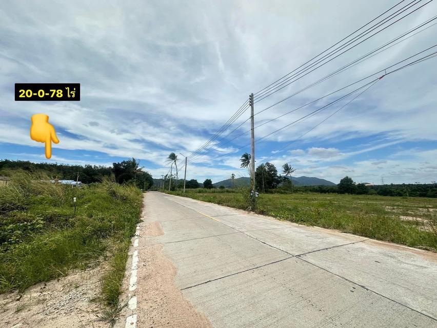 เสนอขายที่ดินเขาคันทรง อ.ศรีราชา จ.ชลบุรี 2