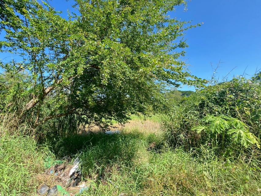 ขายที่ดินขอนแก่น โซน ร.8 7