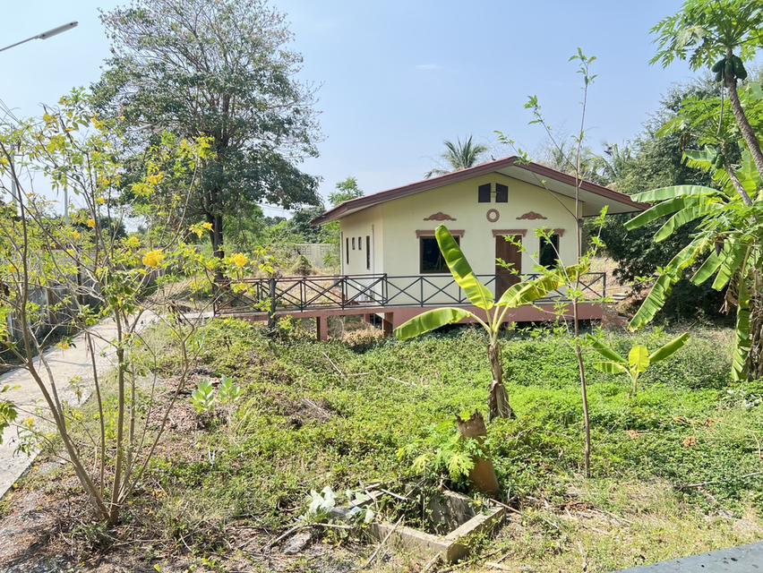 ขายด่วน! ที่ดินผืนใหญ่ 12 ไร่ พร้อมบ้าน 4 หลัง (ตกแต่งด้วยไม้สัก) – อ.สามชุก จ.สุพรรณบุรี 11