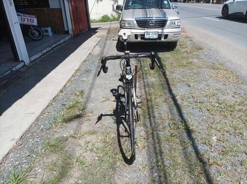 จักรยานเสือหมอบJAVA รุ่นCANNONATA