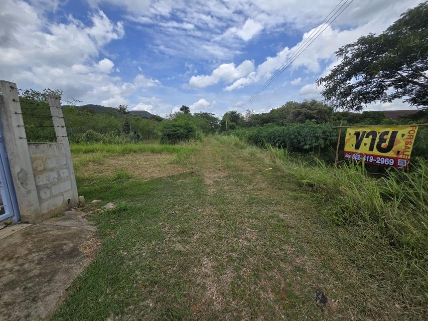 ขาย ที่ดิน บรรยากาศดี เหมาะกับการทำบ้านพัก หรือ
 รีสอร์ทขาย 1 ไร่ 4