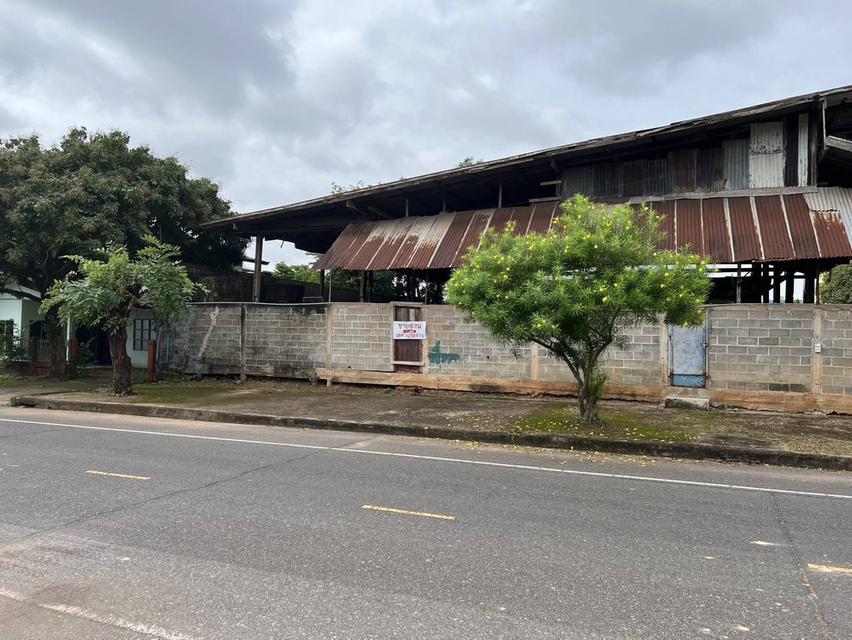 ขายที่โกดังติดถนนหลังเส้นโรงพยาบาลสมเด็จพยุพระราชเลิงนกทา หน้ากว้างติดถนน 32ม.ลึก43 ม.เนื้อที่ทั้งหมด3.617 งาน ห่างโรงพยาบาล 300 เมตร  เขต ทต.เลิงนกทา 9