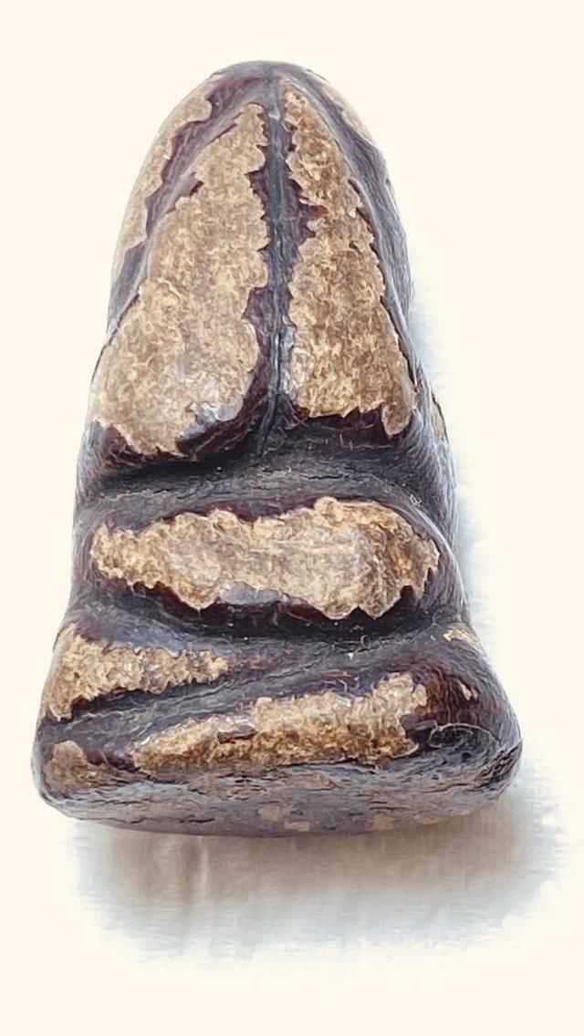 พระปิดลอยองค์ จุ่มรักแดง