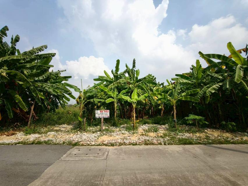 ที่ดินเปล่า เนื้อที่ 118 ตร.ว. ซอยนาวงประชาพัฒนา 9 ถนนนาวงประชาพัฒนา แขวงสีกัน เขตดอนเมือง กรุงเทพมหานคร