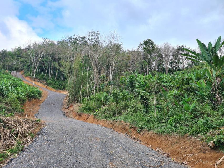 ขายที่ดิน ที่ดินแบ่งขายได้ ขายที่ดินใกล้เสม็ดนางชี จ.พังงา วิวอ่าวพังงาแบบ 360 องศา วิวสวยมากๆ อยู่ ต.คลองเคียน อ.ตะกั่วทุ่ง จ.พังงา  7
