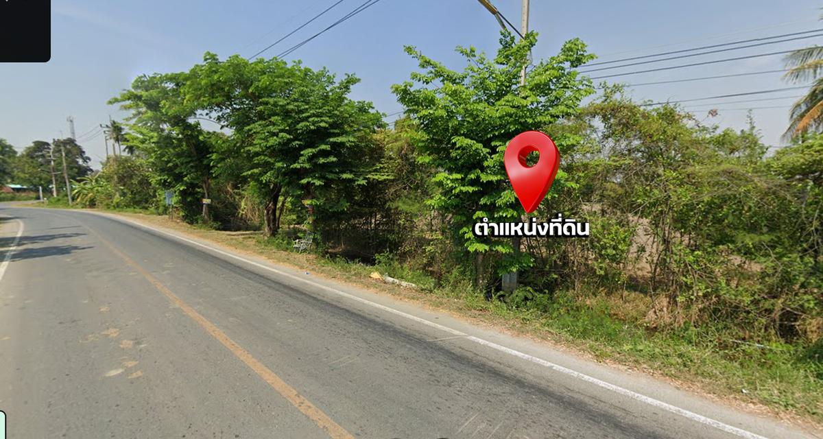 ที่ดินแปลงใหญ่ 4