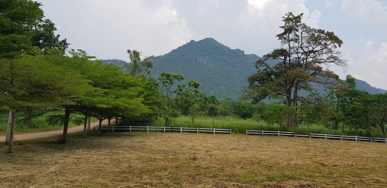 ขายที่เขาใหญ่ โครงการเขาพระนอน 387ตร.ว-2ไร่ ที่สวย กุดคล้าผ่านศึก หมูสี เหวปลากั้ง วิวเขาสวย เดินทางสะดวก มี รปภ ดูแลความปลอดภัยตลอด 0879074045