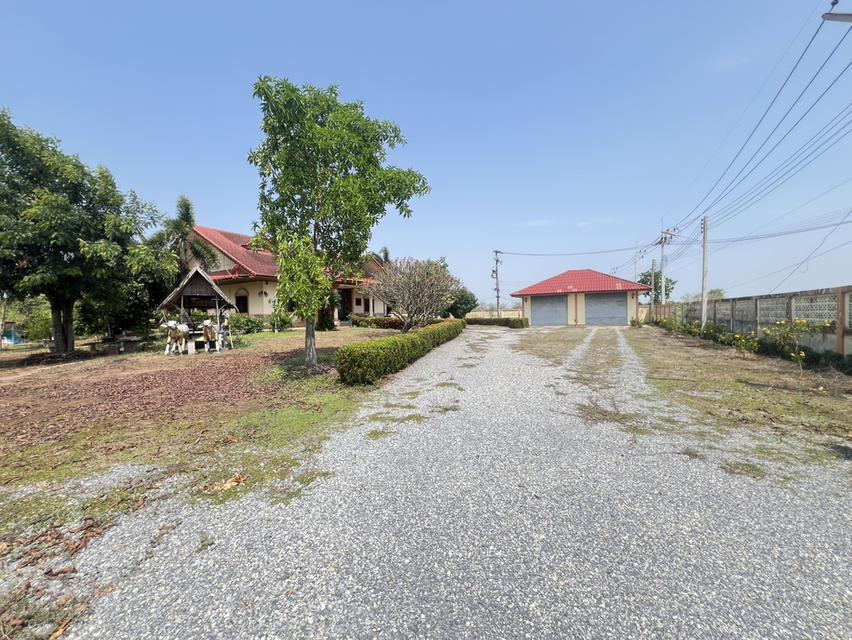 ขายด่วน! ที่ดินผืนใหญ่ 12 ไร่ พร้อมบ้าน 4 หลัง (ตกแต่งด้วยไม้สัก) – อ.สามชุก จ.สุพรรณบุรี 9