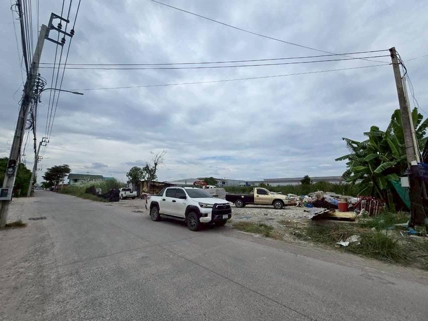 Vายที่ดินผังม่วง 2ไร่เศษ ติดถนน 2 ด้าน ซอย คุ้มเกล้า 50 ลาดกระบัง กรุงเทพมหานคร