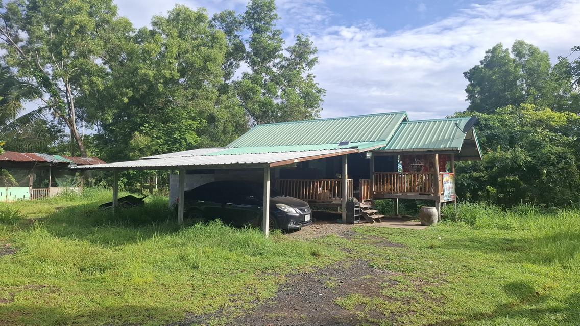 บ้านสวนสองหลังพร้อมที่ดิน2ไร่ 2