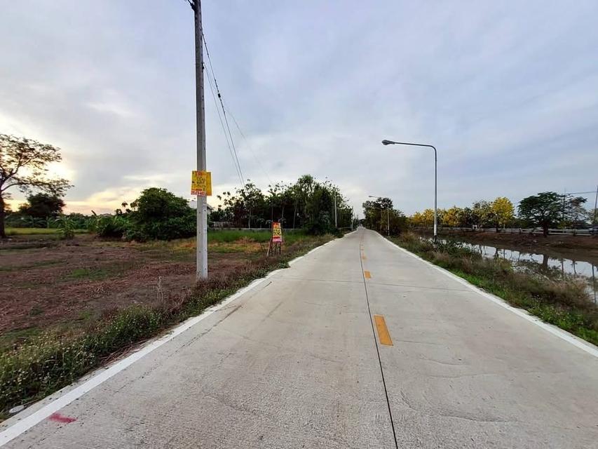 ขายด่วนทีดินติดถนนเลียบคลองห้า 368 ตารางวา ติดถนนคอนกรีตสาธารณะ อ.คลองหลวง จ.ปทุมธานี 2