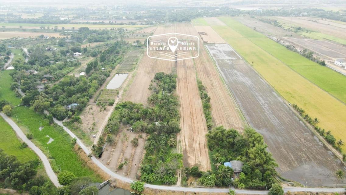 ขายที่ดินแปลงใหญ่รวม 30 ไร่ ตำบลคลอง 12 ฝั่งตะวันตก หนองจอก มีนบุรี กทม. ที่ดินหน้ากว้าง 75   เมตร  ลึก 823 เมตร ตารางวาละ 2,600 บาท  ขายรวม 30 ไร่ 8