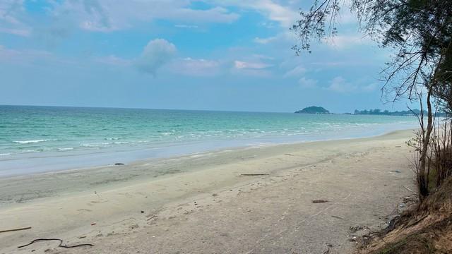 เสนอซื้อขายทรัพย์ต้นกันยา69 ที่ติดทะเลหาดผาแดงฝั่งแดง ประจวบ ดูแลหลังการขาย โฉนดพร้อมโอน บางสะพานน้อยที่ริมเล 8
