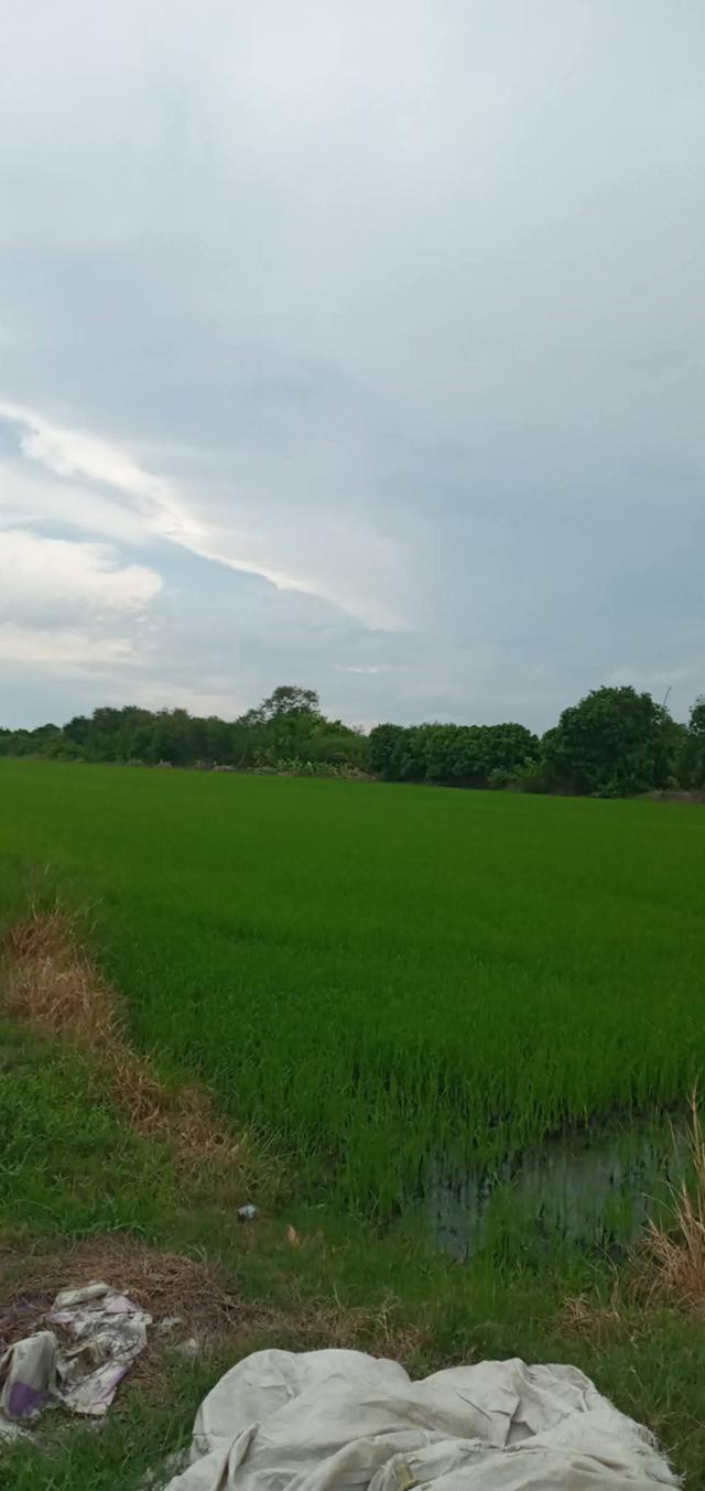 ที่ดินสวยลาดหลุมแก้ว 2