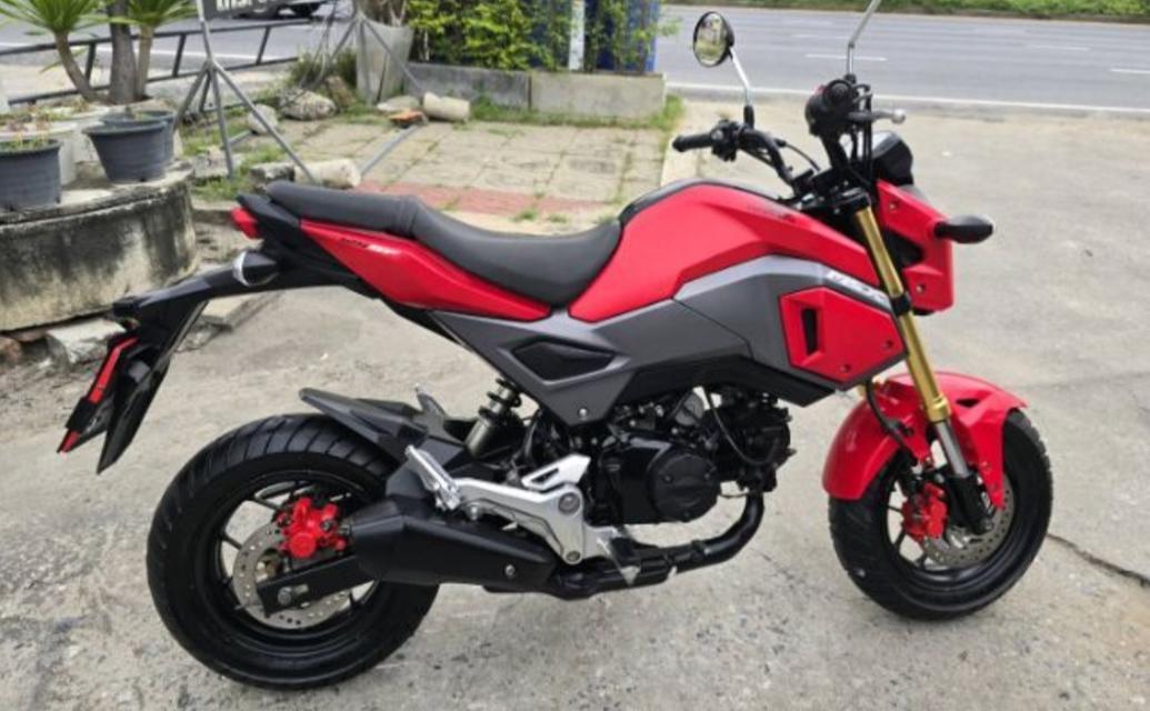 Msx 125 sf  1