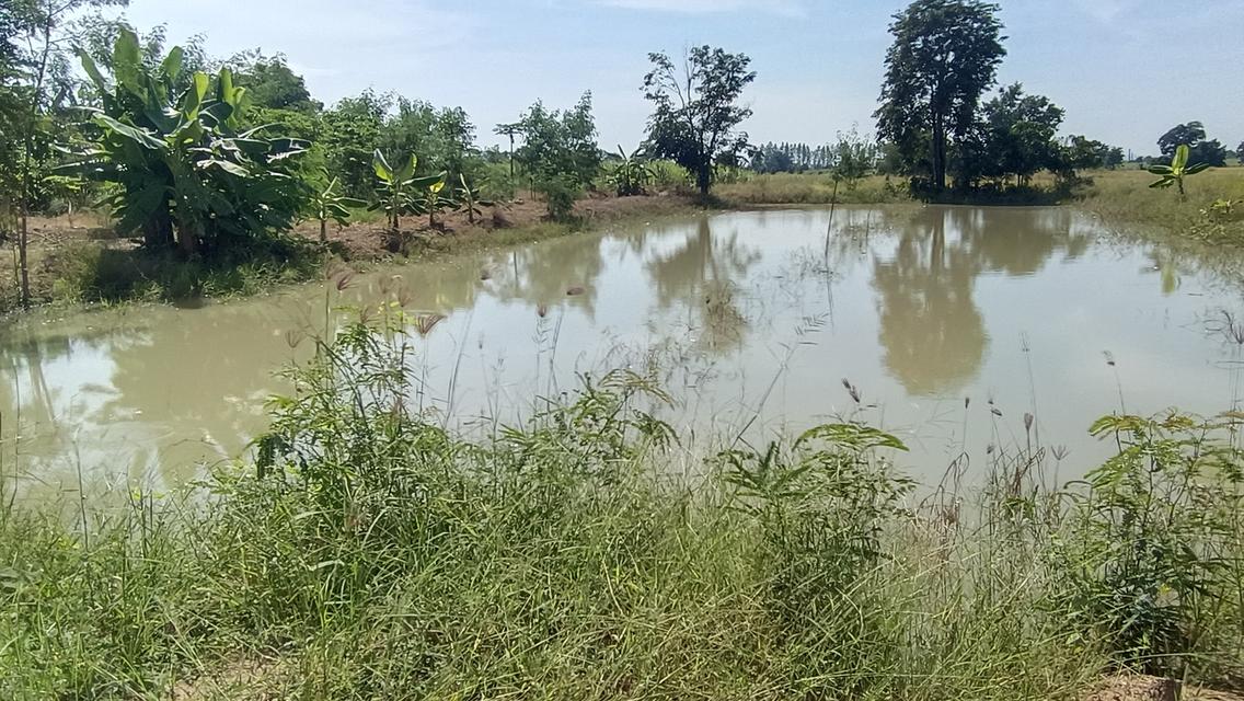 บ้านพร้อมที่ดิน5-1-77ไร่ต.ทะเลบกอ.ดอนเจดีย์จ.สุพรรณบุรี 6