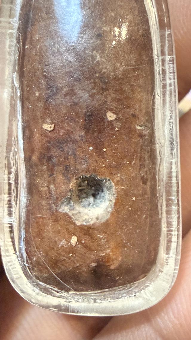 พระกำแพงลีลาเม็ดขนุน จากจังหวัดกำแพงเพชร รูปที่ 5