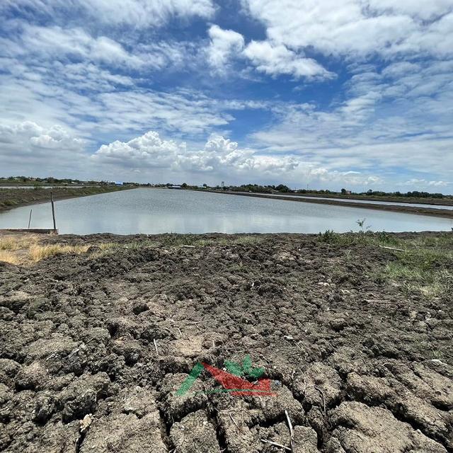ขายที่ดินพร้อมบ่อน้ำและสิ่งปลูกสร้าง ขนาด23-0-62ไร่ ซ.กรมประมง โคกขาม มหาชัย 4