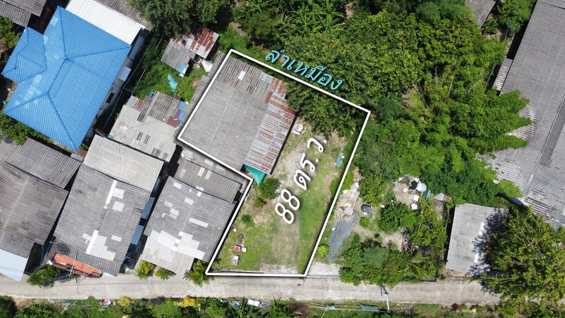 ขายบ้านพร้อมที่ดิน 88 ตร.ว. บ้านป่าไผ่ ใกล้ถนน 1317 เพียง 500 เมตร 3