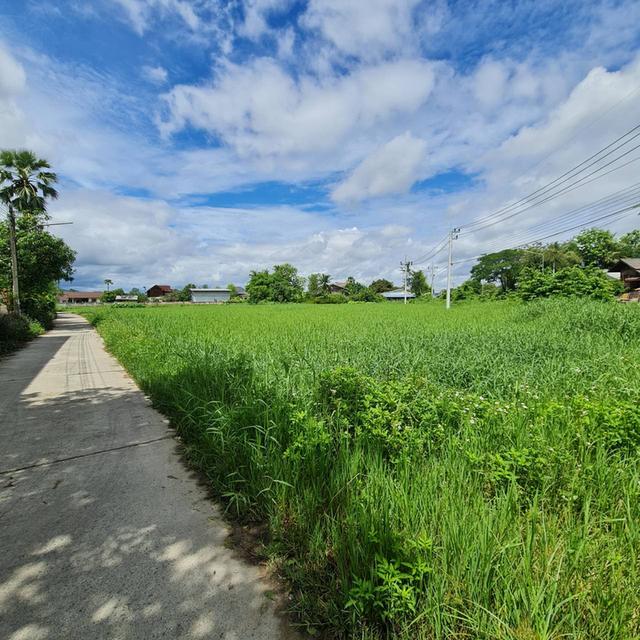 ที่ดิน แปลงหัวมุม อ.บ้านธิ จ.ลำพูน