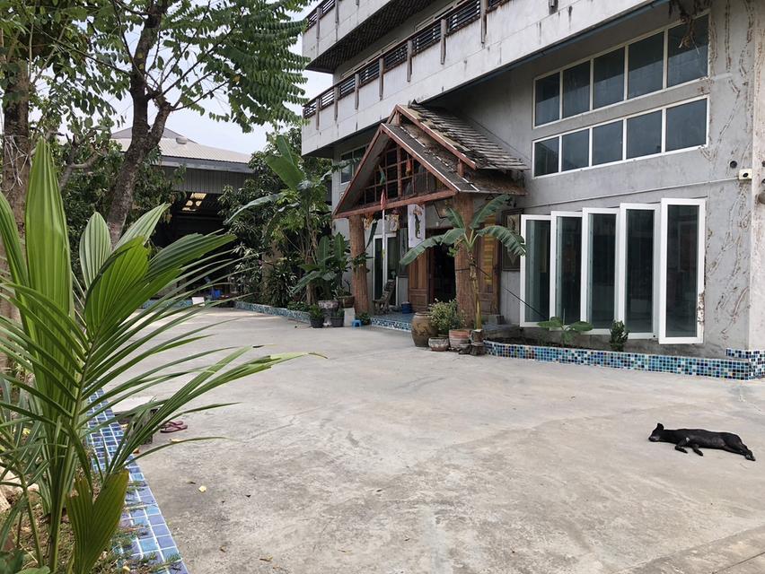 บ้าน 4 ชั้น พร้อมชั้นลอย ขนาด1440ตรว. 4