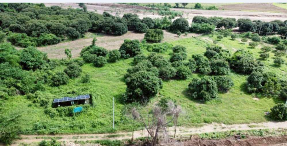 🏡ขายที่ดินสวนลำไย วิวหลักล้านราคาหลักแสน*ผ่อนได้เพียงหลักพันเท่านั้น 3