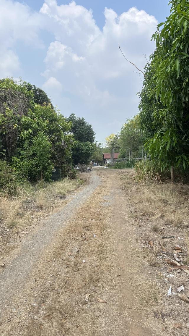 ที่ดิน ขนาด 37 ไร่ 2 งาน อำเภอศศรีนคร จังหวัดสุโขทัย 5