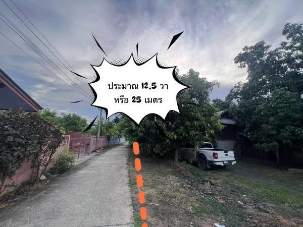 ขายที่ดิน ที่สวย น้ำไฟ ท่อระบาย พร้อม น้ำไม่ท่วม ต.ทองเอน อ.อินทร์บุรี จ.สิงห์บุรี โอนฟรี 5