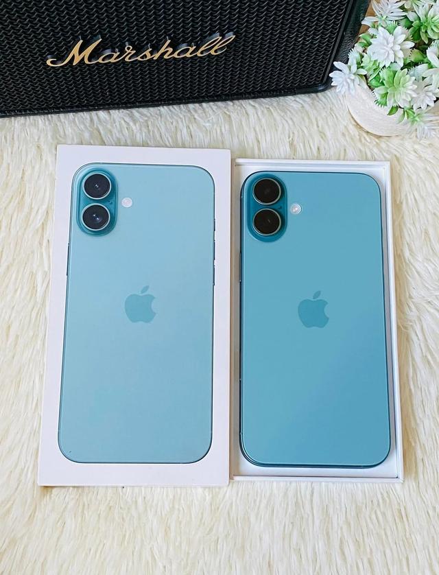 iPhone 16 plus สีเขียว