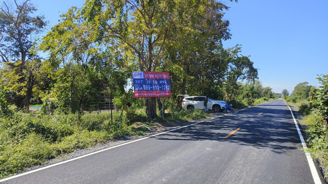 ขายถูกที่ดินแปลงใหญ่ อ.วิหารแดง จ.สระบุรี 5