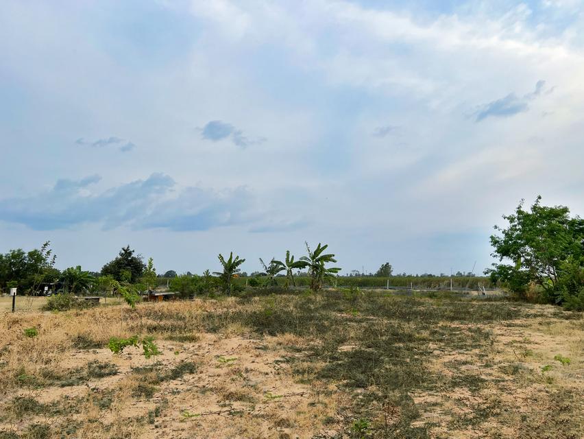 ที่ดินเปล่า 1 ไร่ @บ้านโพธิ์ 8