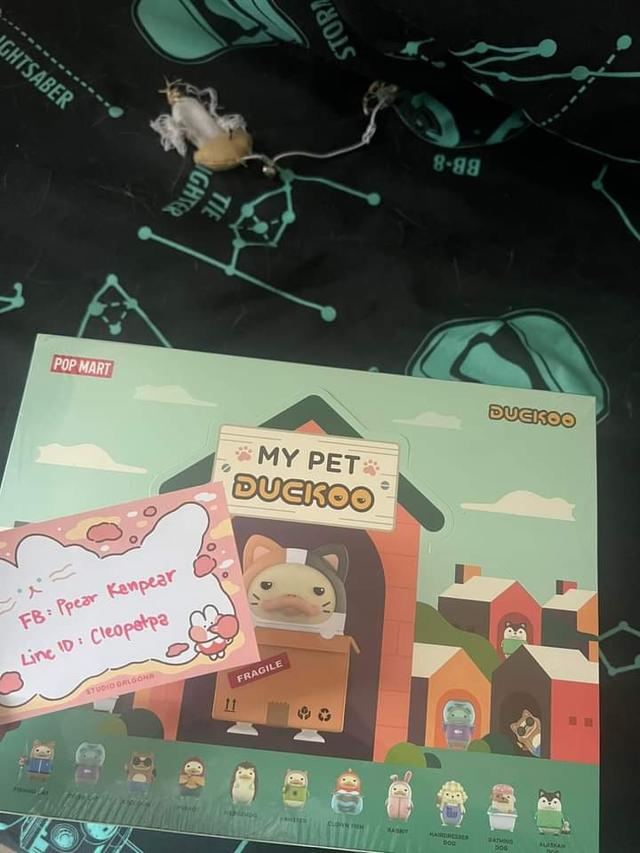 พร้อมส่ง Duckoo My Pet 2