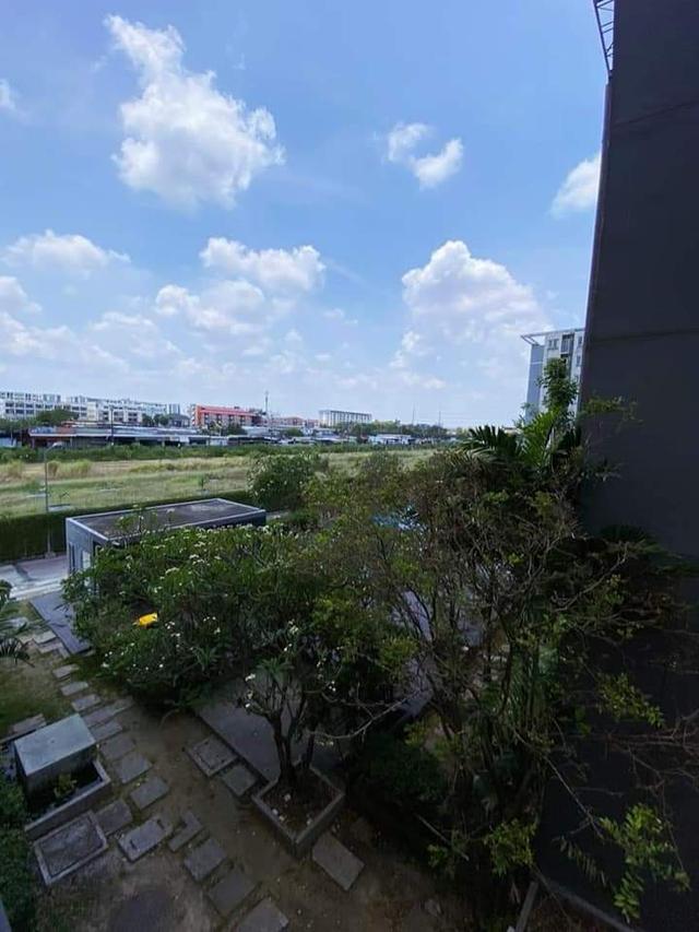 ให้เช่าด่วน Iris Avenue Onnuch Suvarnabhumi 5