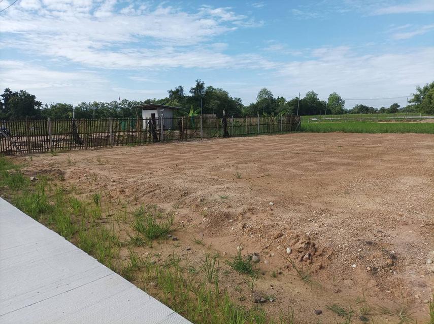 ขายที่ดินเปล่าพร้อมถม ต.สง่าบ้าน อ.ดอยสะเก็ด จ.เชียงใหม่ รูปที่ 3