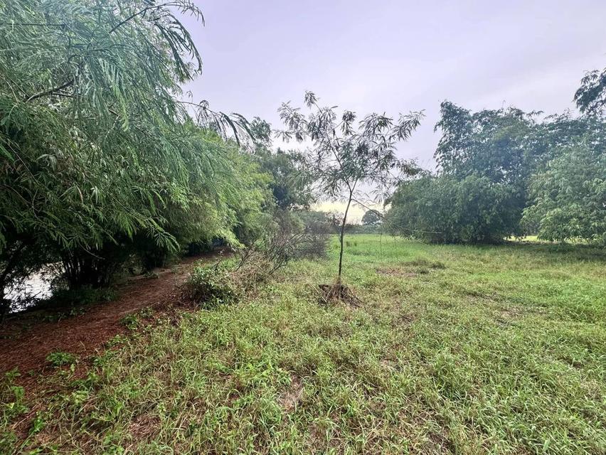 ขายที่ดินเปล่า 4-2-50 ไร่ ทำเลศักยภาพ ติดคลองกระเฉท น้ำไหลตลอดปี ใกล้นิคมอุตสาหกรรม ต.มาบข่า ระยอง 13