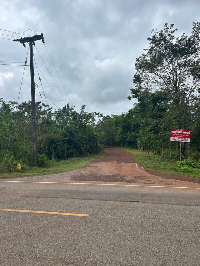 ขายที่ดิน อำเภออากาศอำนวย จ.สกลนคร 4