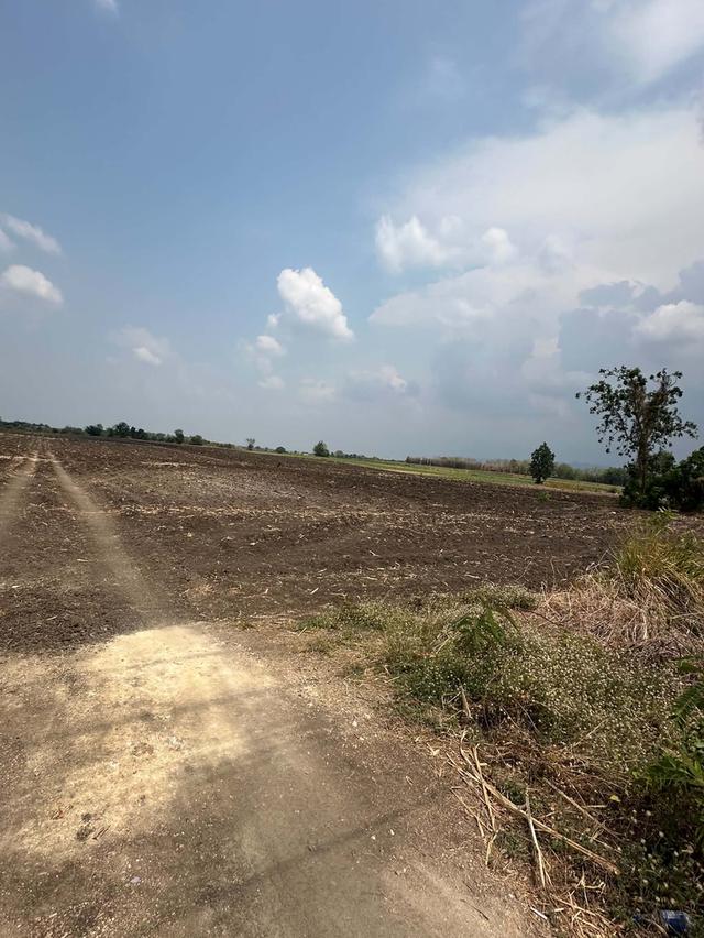ที่ดิน อำเภอพัฒนานิคม จังหวัดลพบุรี 2